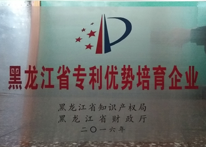2016年黑龙江省专利优势培育企业